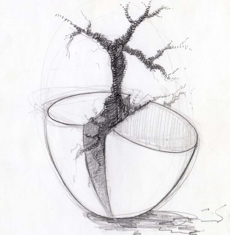 Nell’immagine di formato quadrato si vede al centro il disegno di una tazza semicircolare spaccata al centro da un albero che nasce dividendo in due parti la superficie ovale.